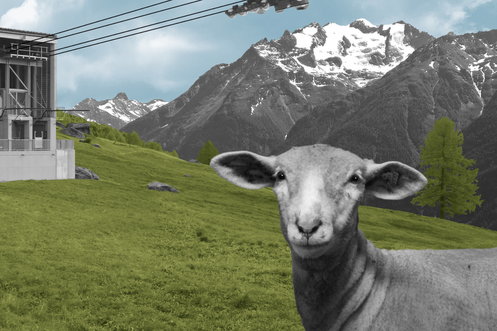 Die Postkarte für Gspon im Detail